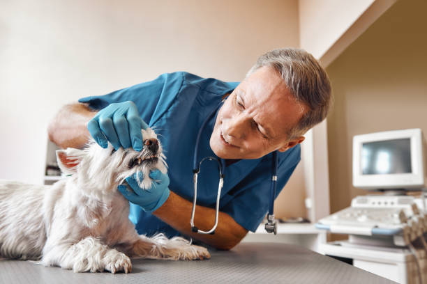 Best Emergency Tooth Extraction in Floresville, TX